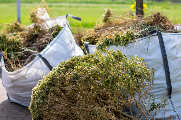 Best Electronics Removal Services  in Mcpherson, KS